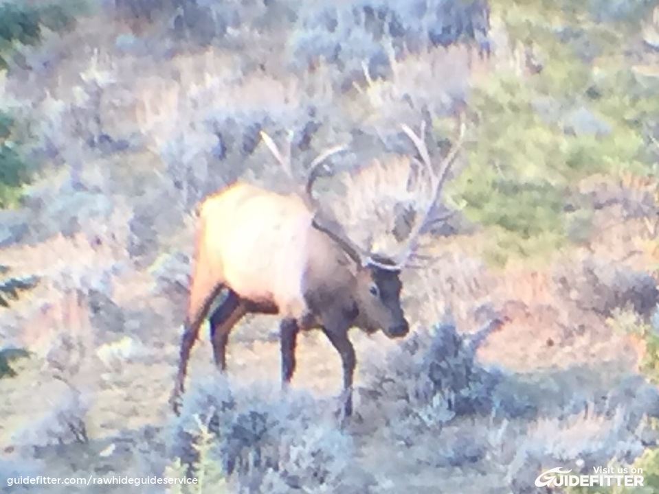 Enlarged photo by Rawhide Guide Service