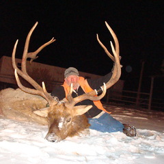 Photo by Rawhide Guide Service