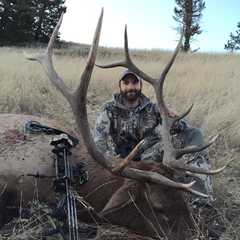 After a long 7 days Tyler kills his 6 pt bull an hour before dark.