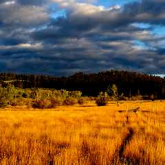 Photo by Rawhide Guide Service