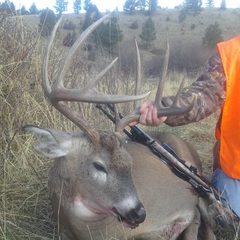 Photo by Rawhide Guide Service