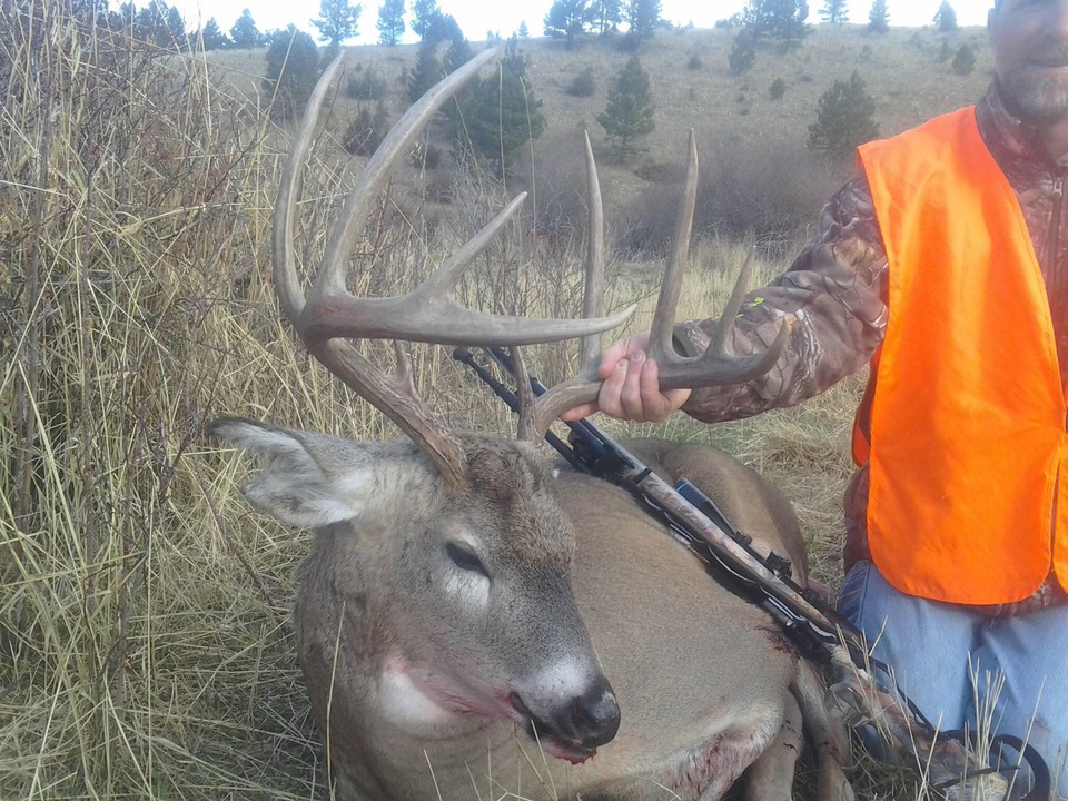 Enlarged photo by Rawhide Guide Service