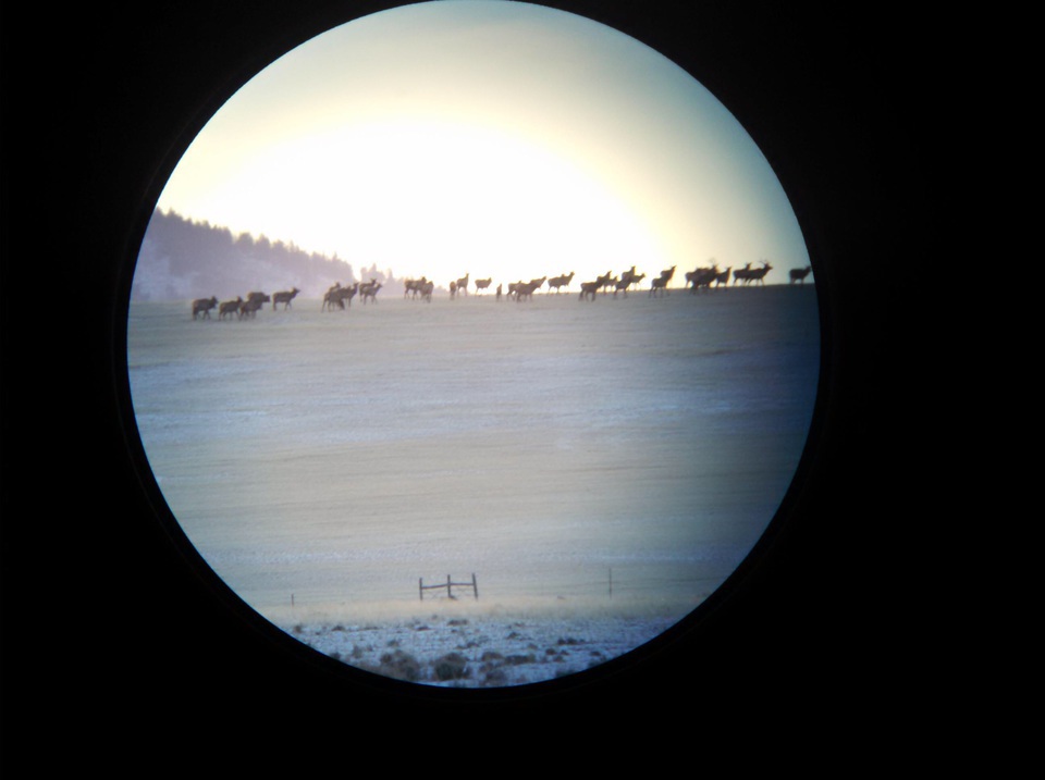 Enlarged photo by Rawhide Guide Service