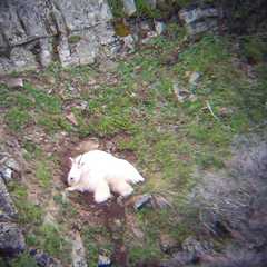 Photo by Rawhide Guide Service