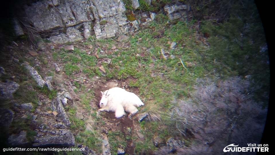 Enlarged photo by Rawhide Guide Service