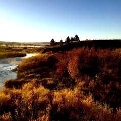 Photo by Rawhide Guide Service